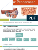 Kelenjarpencernaan