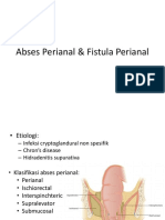 Abses Perianal - Fistula Perianal