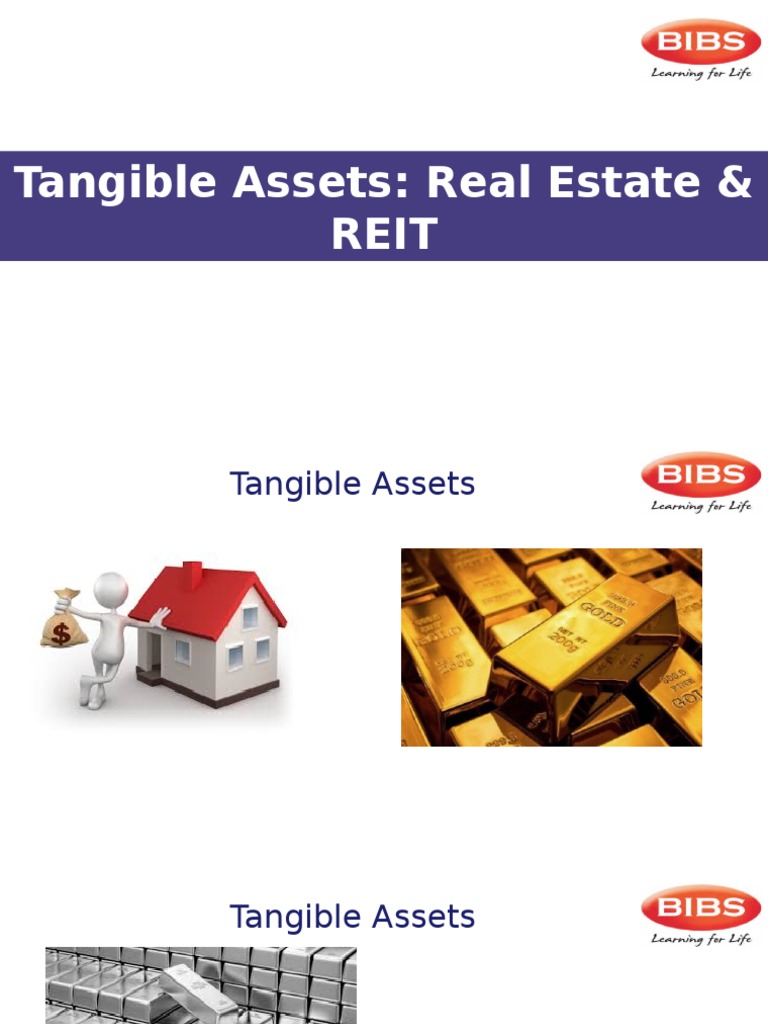 Tangible Assets Real Estate & Reit PDF Private Equity Investing