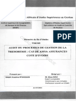 Audit Du Processus de Gestion de La Trésorerie AMSA ASSURANCE PDF