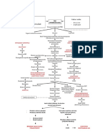 Mindmap Tbc Pneumothorax