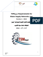 TSM-Egypt Water Network Requirements 2014