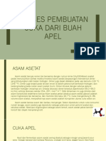 Proses Pembuatan Cuka Dari Buah Apel (Revisi)