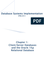 Database Systems Implementation: ITIS 411