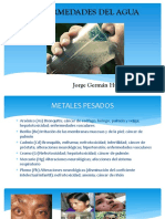 ENFERMEDADES DEL AGUA.pptx