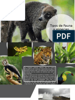 Tipos de Fauna y Especies