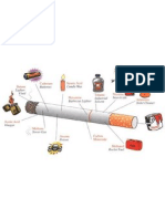 Cigaratte Anatomy