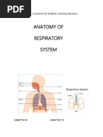 1st Year Anatomy & Physiology GNM Notes | PDF