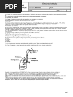 Teste Seus Conhecimento - 3EM - _ Fisiologia Humana