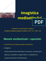 5.mediastin
