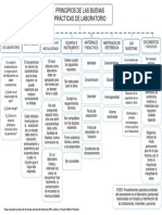 Mapa Conceptual, Principios Fundamentales de Las BPL