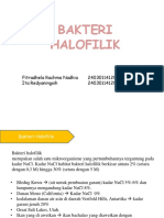 Halofilik