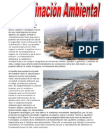 Contaminacion Ambiental