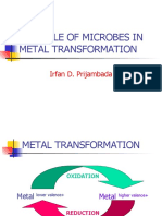 The role of microbes in metal transformation