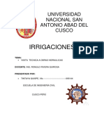 INFORME_IRRI