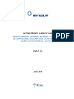 Cap 1, 2, 3 y 4 Unidad Minera, Rep Legal, Consultora y Objetivos