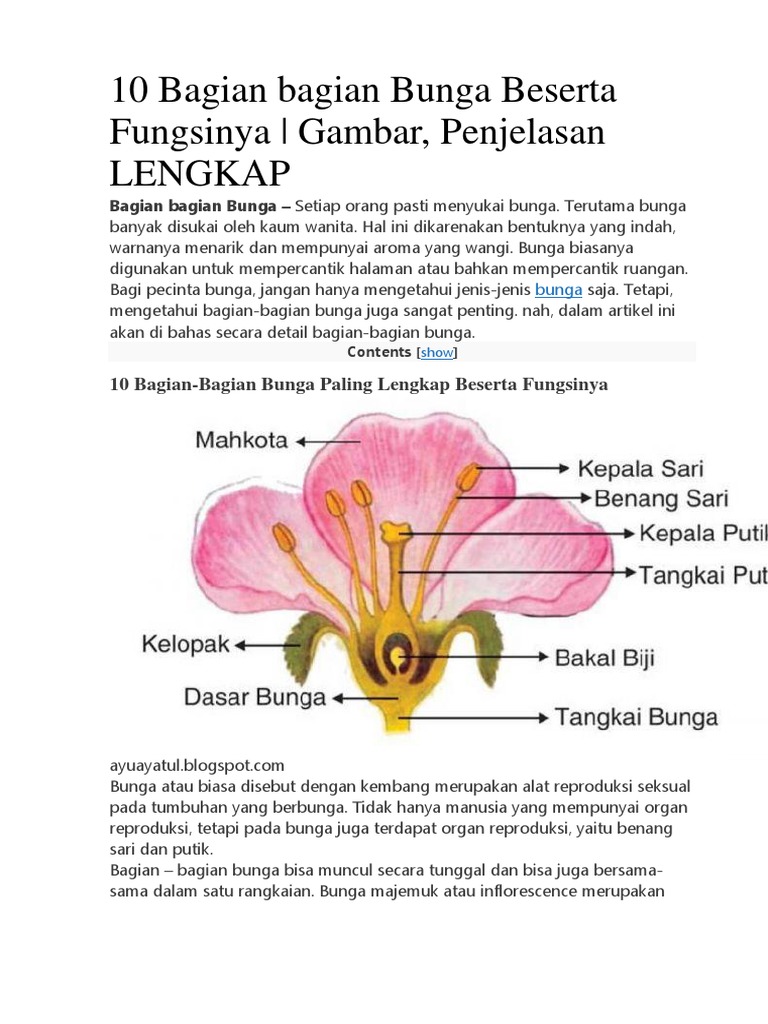Bagian Bagian Bunga Beserta Fungsinya