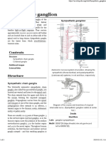 Sympathetic Ganglion