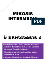 MIKOSIS INTERMEDIA.pptx