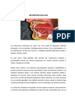 SECRECIONSALIVAR.PDF