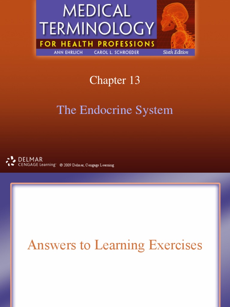 Medical Terminology Chapter 13 PDF Adrenal Gland Pituitary Gland