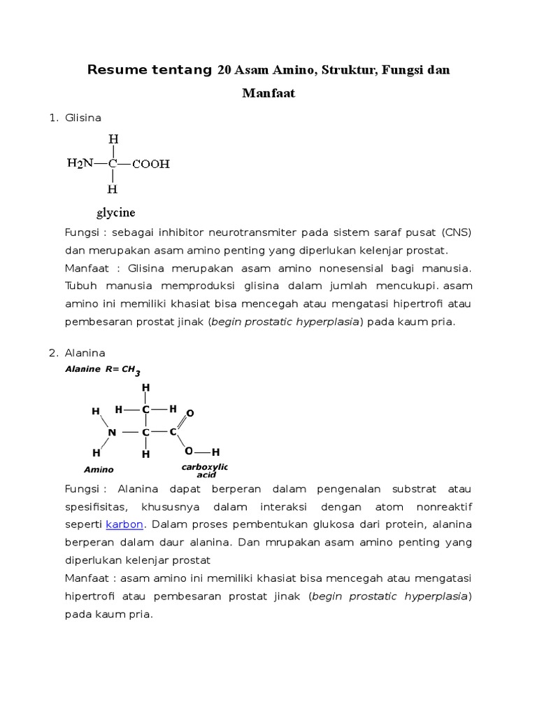 Resume Tentang 20 Asam Amino Struktur Fungsi Dan Manfaat