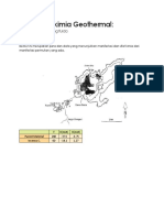 Tugas Geokimia Geothermal