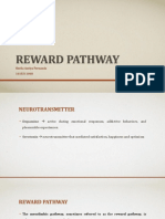 reward pathway.pptx