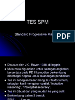 Tes SPM: Standard Progressive Matrices