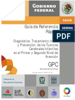 guia mexicana de neurocisticercosis.pdf