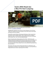 Lamtim Sentra Bibit Buah Dan Tanaman Hias Provinsi Lampung