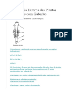 Morfologia Externa Das Plantas Exercícios Com Gabarito