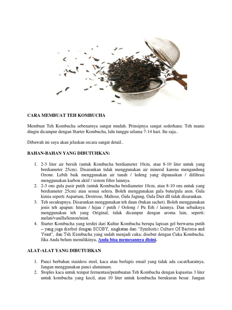 Cara Membuat Teh Kombucha | PDF