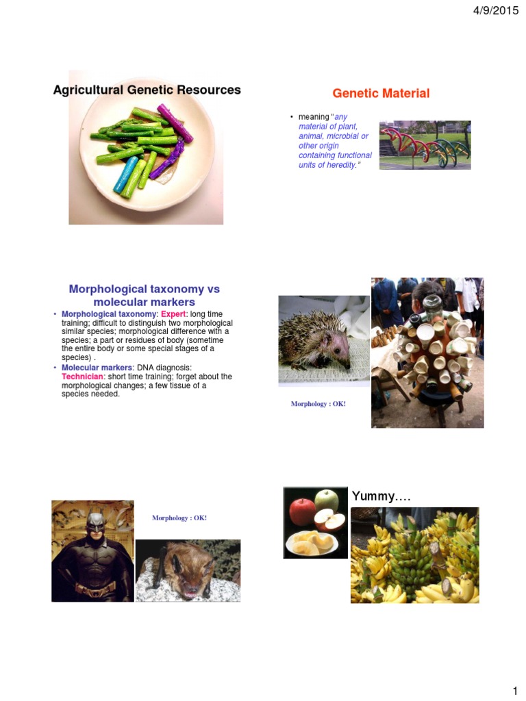 P3b Basic+agricultural+resources+ (Part+2) | PDF | Genetic Diversity ...