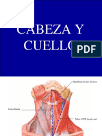 Lesiones Del Aparato Locomotor-Parte 2