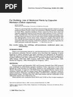 01b - Esfregar a Pele - Uso de Plantas Medicinais Por Macacos-prego (Cebus Capucinus)