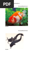 Download Jenis Ikan Air Asin Dan Air Tawar by Sebastianus Widanarto SN39998781 doc pdf