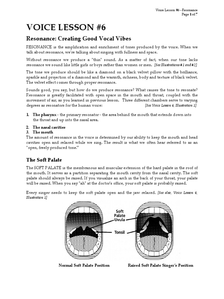 Voice Lesson 6 Resonance Creating Good Vocal Vibes PDF Singing