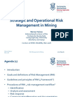 Strategic and Operational Risk Management in Mining