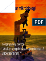 Dasar Mikrobiologi DR - Ida