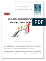 Desarrollo Organizacional (Cultura, Liderazgo y Toma de Decisiones) 