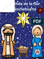 Flor de Nochebuena