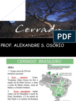 Geografia PPT - Biomas Brasileiros - Cerrado Brasileiro