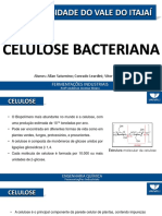 Celulose Bacteriana Final