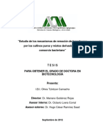 “Estudio de los mecanismos de remoción de hexadecano.pdf