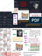 Infografia Contreras Rojas Amauri