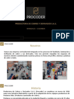 Procoder flyer