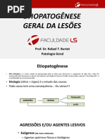 Aula 02 Etiopatogênese Geral Da Lesões