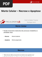 Aula 03 Morte Celular e Necrose