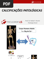 Aula 06 Calcificação Patológica
